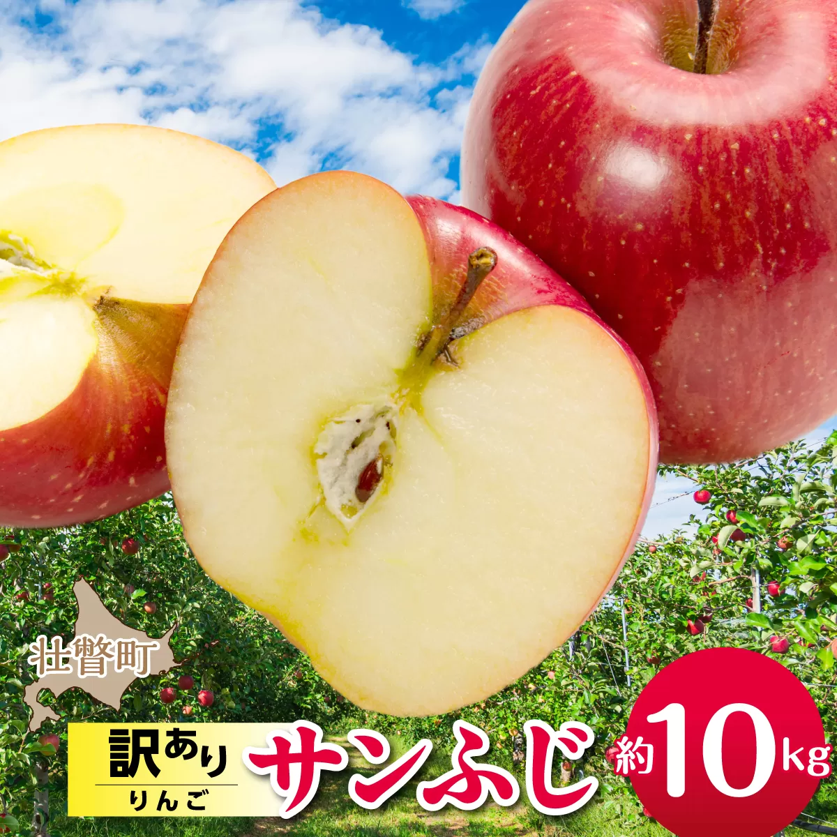 【先行予約】＜2026年12月上旬よりお届け＞北海道壮瞥町　訳ありりんご　品種名「サンふじ」約10kg SBTF030