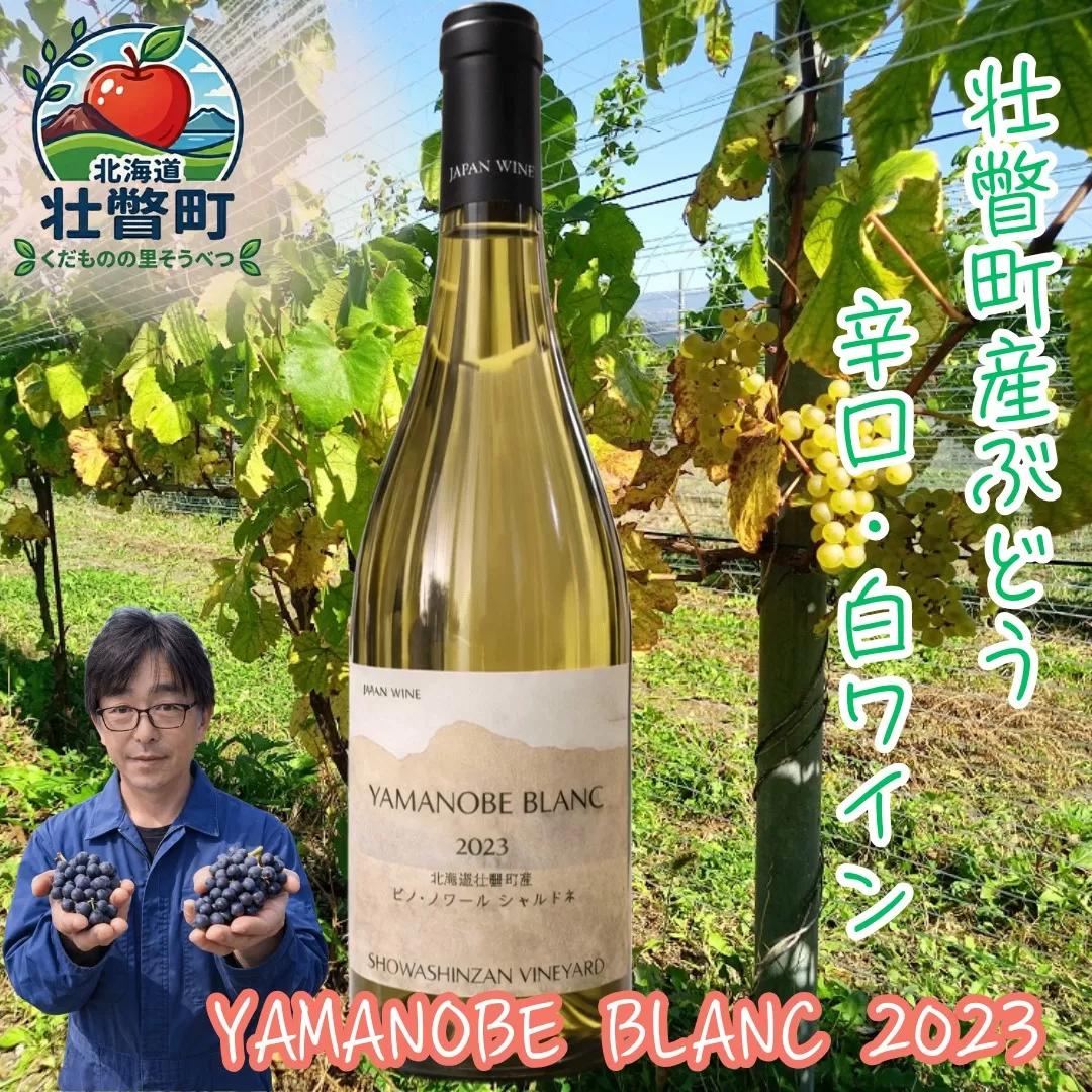 昭和新山ワイン　YAMANOBE BLANC 2023(ヤマノベブラン）白ワイン 辛口 壮瞥町産ぶどう100% SBTQ012