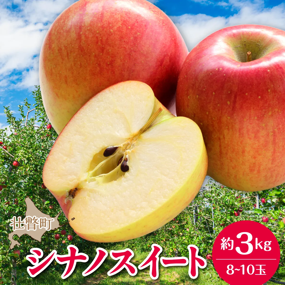 【先行予約】北海道壮瞥町産りんご「シナノスイート」約3kg(8〜10玉)<2026年10月下旬よりお届け> SBTF003