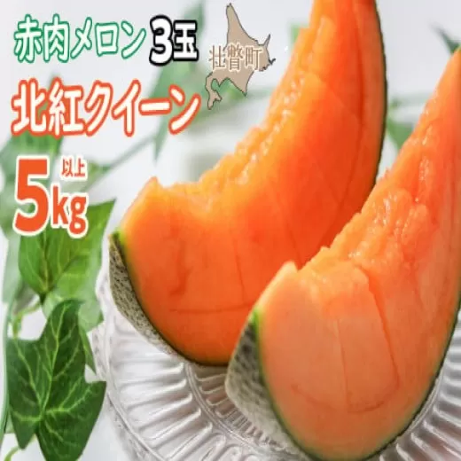 ＜2025年7月上旬よりお届け＞北海道壮瞥産 赤肉メロン「北紅クイーン」3玉入り 約5kg以上 SBTP005