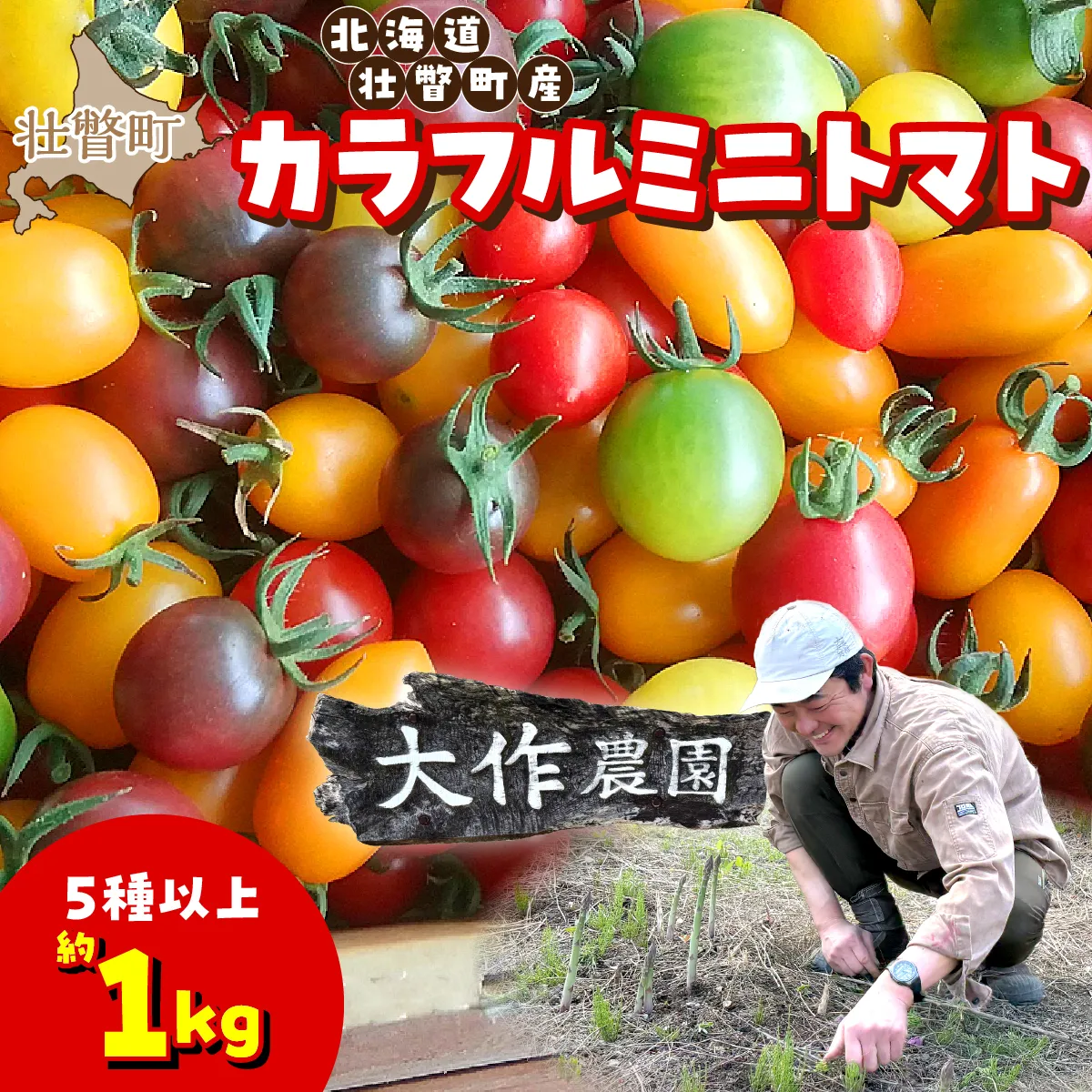 【先行予約】【2027年7月上旬より発送】カラフルミニトマト約1kg(5種以上) 大作農園 北海道壮瞥町 SBTR011