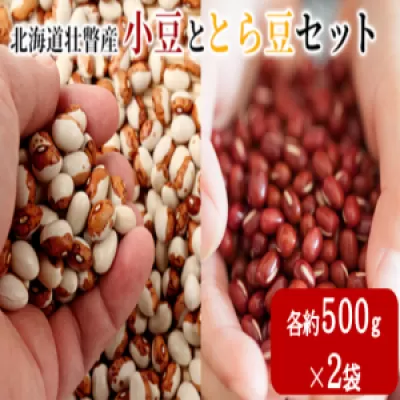 〈2025年11月中旬よりお届け〉北海道壮瞥産　小豆・とら豆セット　各約500g×2袋　SBTA042