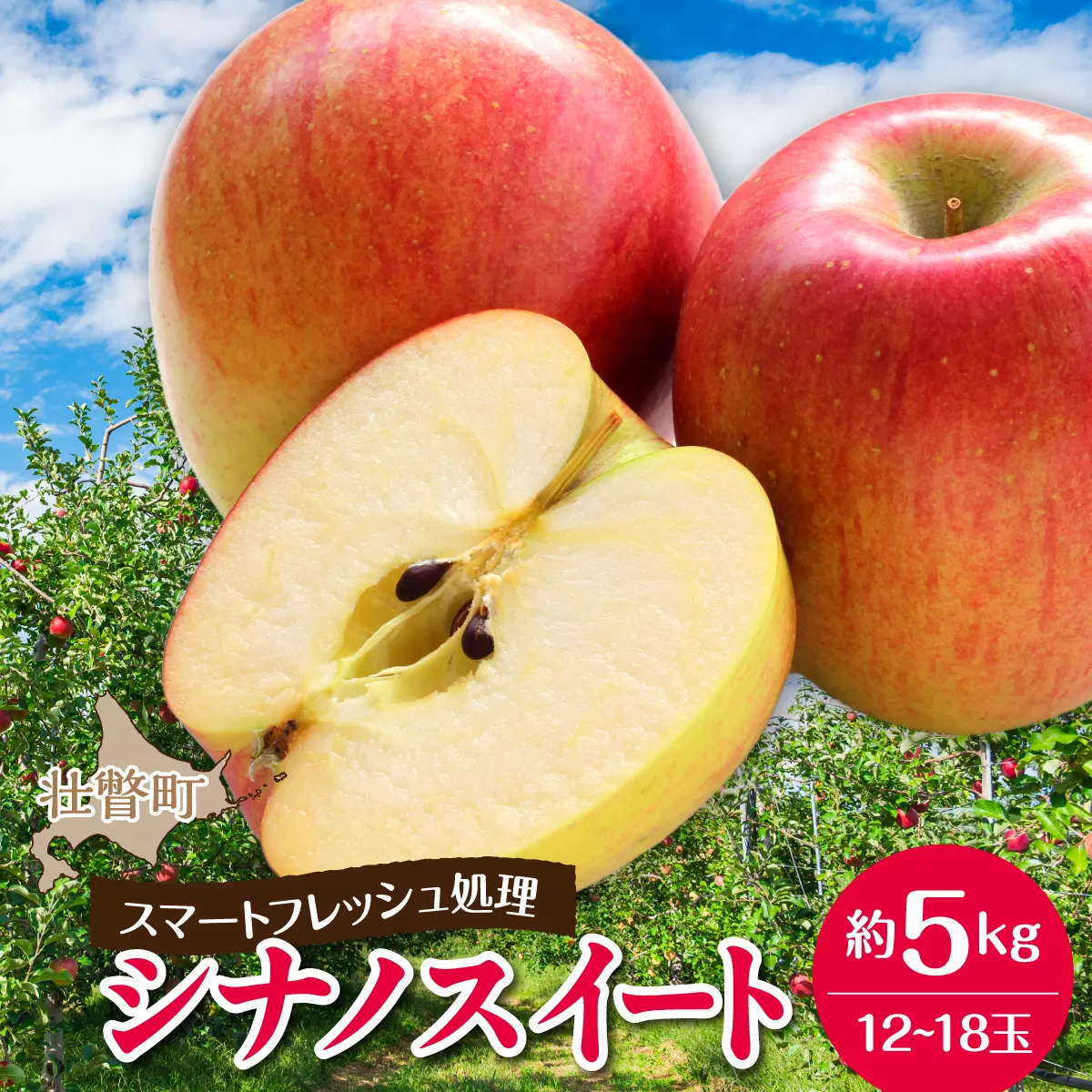 3・4月発送！北海道壮瞥町　りんご(スマートフレッシュ)　品種名「シナノスイート」12～18玉約5kg　SBTF027