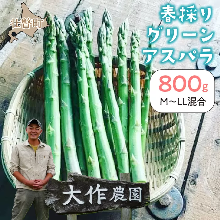 ＜2026年4月上旬よりお届け＞【朝採り】北海道壮瞥町産　春採りグリーンアスパラM〜LL混合　約800g SBTR005