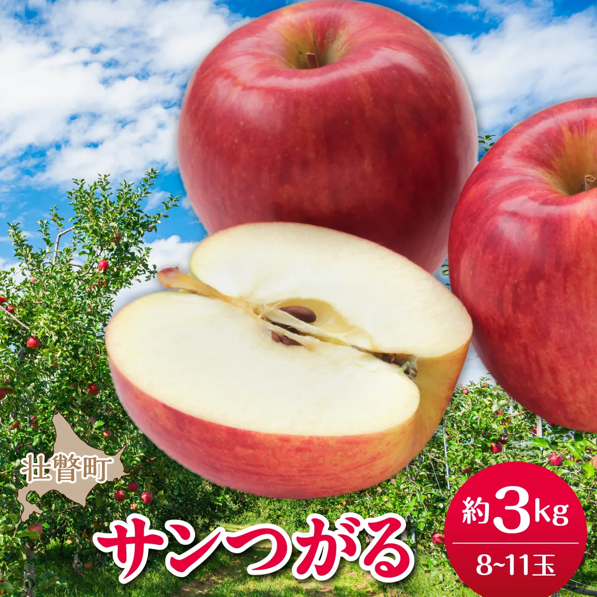 【先行予約】北海道壮瞥町産りんご「サンつがる」約3kg(8〜11玉)<2026年9月下旬よりお届け> SBTF001