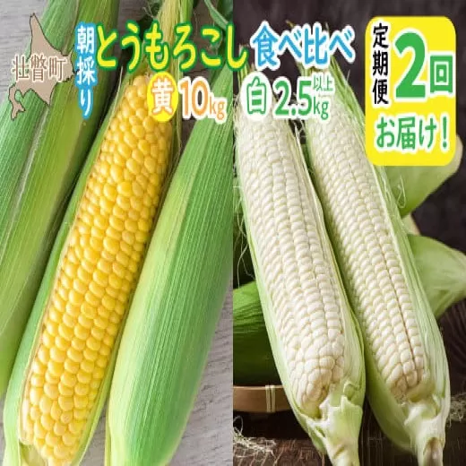 北海道壮瞥町 2回 定期便 8月・9月朝採り！産地直送 北海道壮瞥町産 とうもろこし黄・白 食べ比べ SBTP011