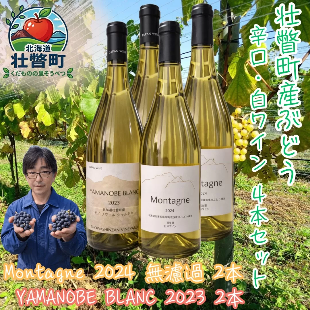 昭和新山ワイン　YAMANOBE BLANC 2023(ヤマノベブラン）とMontagne 2024 無濾過(モンターニュ） の各２本セット 白ワイン 辛口 壮瞥町産ぶどう100% SBTQ015