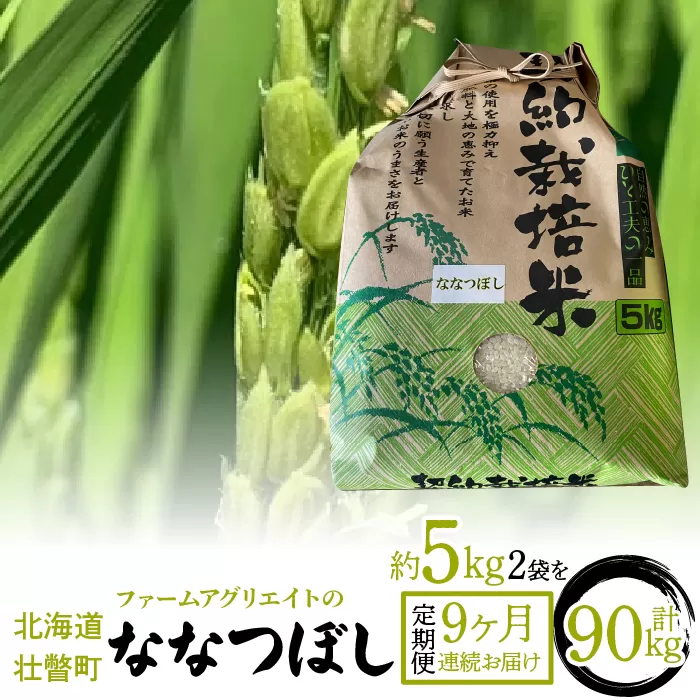 令和6年産米 ファームアグリエイトのななつぼし　約5kg×2袋を9ヶ月連続お届け SBTB008