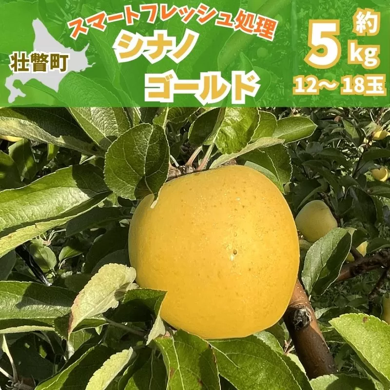 北海道壮瞥町　りんご(スマートフレッシュ)　品種名「シナノゴールド」12～18玉約5kg　SBTF029