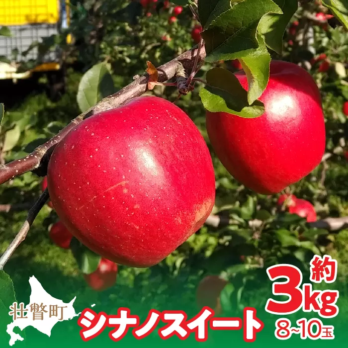＜2025年10月下旬よりお届け＞ 北海道壮瞥町 りんご 「シナノスイート」8〜10玉約3kg SBTF003