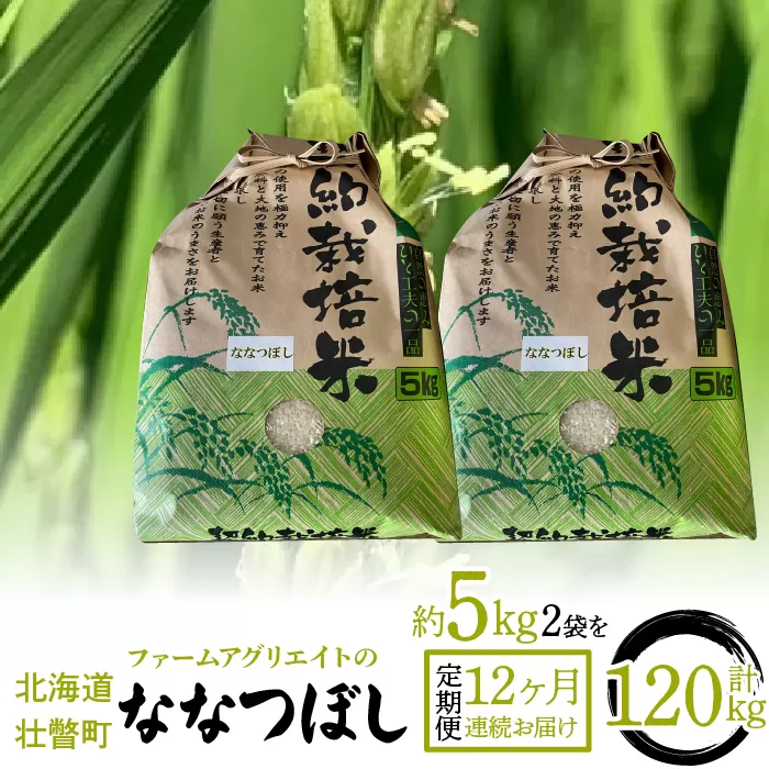 令和6年産米 ファームアグリエイトのななつぼし　約5kg×2袋を12ヶ月連続お届け SBTB009