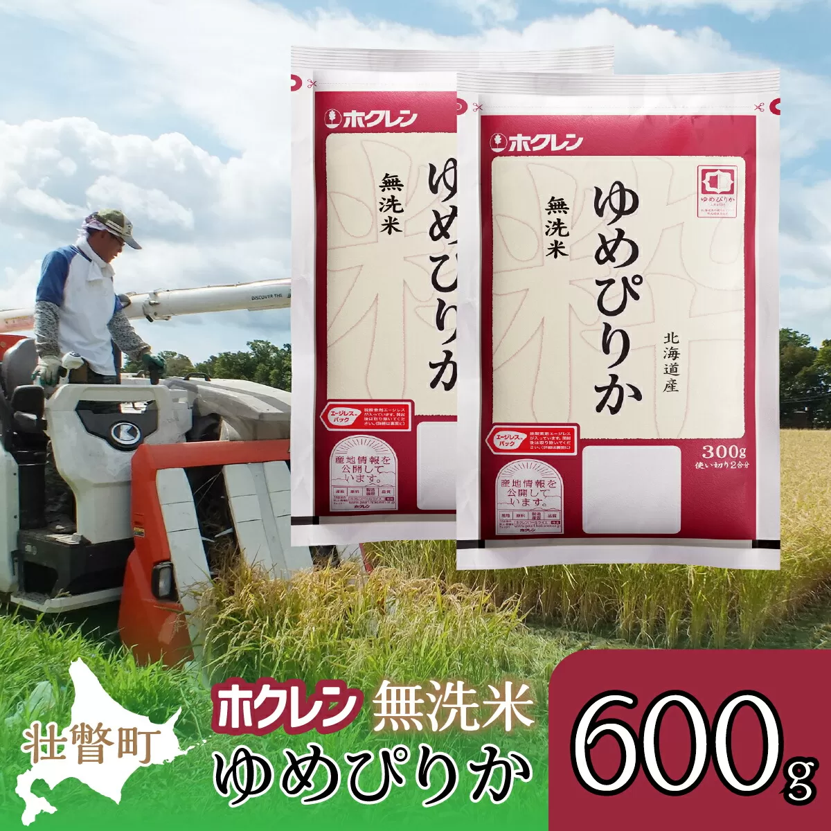 【令和6年産米】（無洗米600g）ホクレンゆめぴりか  SBTD152