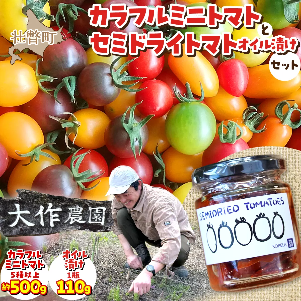 <2026年7月上旬よりお届け>北海道壮瞥産 大作農園の「カラフルミニトマト」約500g（5種以上）とセミドライトマトオイル漬け1瓶（110g）のセット SBTR008