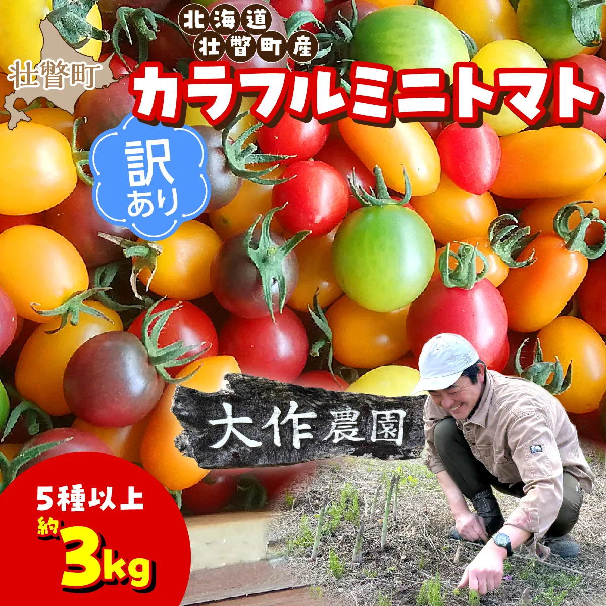 【2027年7月より発送】【訳あり】カラフルミニトマト約3kg(5種以上) 大作農園 北海道壮瞥町 SBTR014