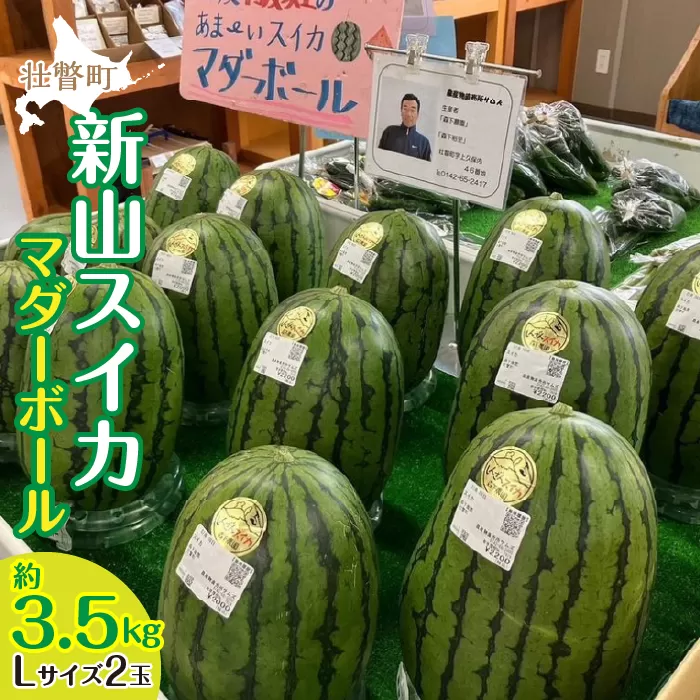 ＜2025年8月上旬よりお届け＞北海道壮瞥産　新山すいか 小玉すいか（マダーボール）Lサイズ2玉 スイカ　 SBTN002