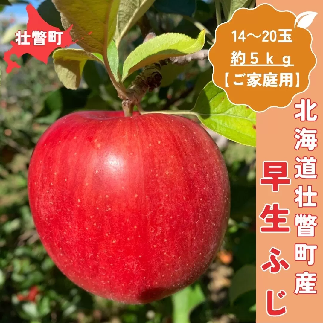＜10月中旬頃よりお届け＞北海道壮瞥産りんご 早生ふじ 約5kg(14〜20玉)【ご家庭用】 SBTK013