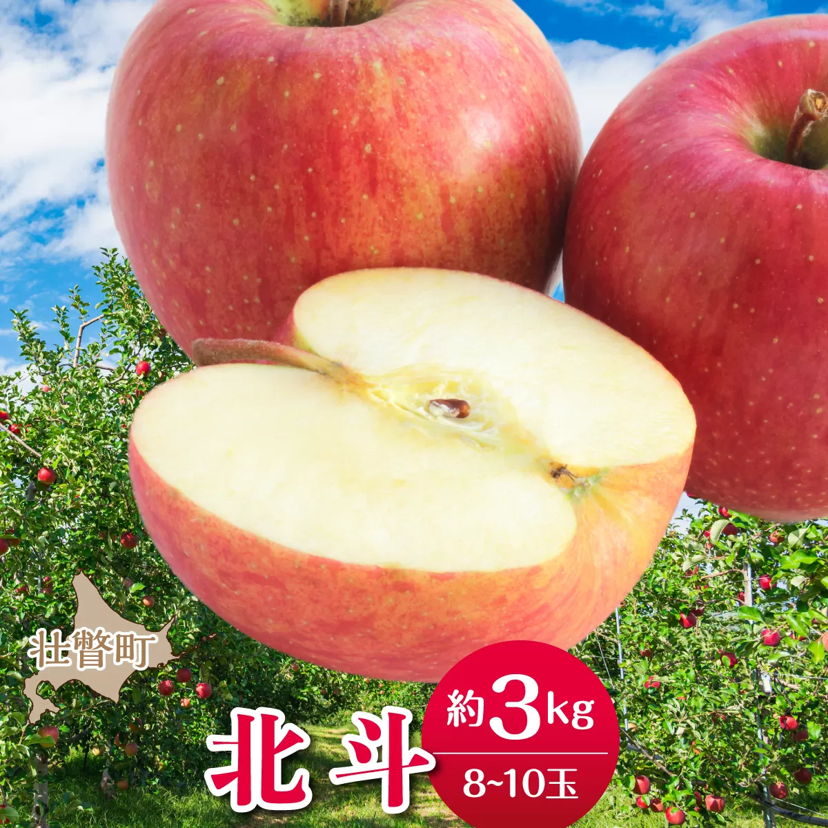 【先行予約】＜2026年11月中旬よりお届け＞北海道壮瞥町　りんご　品種名「北斗」8～10玉約3kg SBTF022