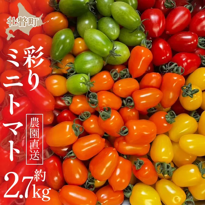 ＜2025年7月上旬よりお届け＞【農園直送】北海道壮瞥産　彩りミニトマト約2.7kg SBTO004