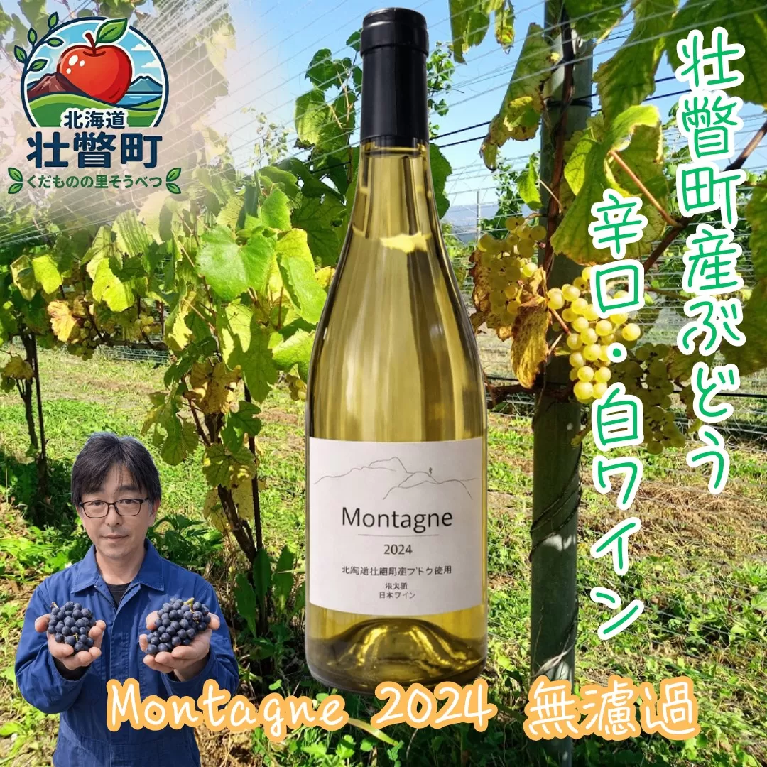 昭和新山ワイン　Montagne 2024 無濾過(モンターニュ） 白ワイン 辛口 壮瞥町産ぶどう100% SBTQ013