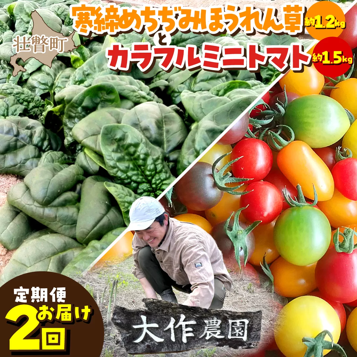 ＜2026年12月・2027年8月お届け＞大作農園　寒締めちぢみほうれん草約1.2kg・カラフルミニトマト約1.5kg　2回お届け定期便 SBTR006