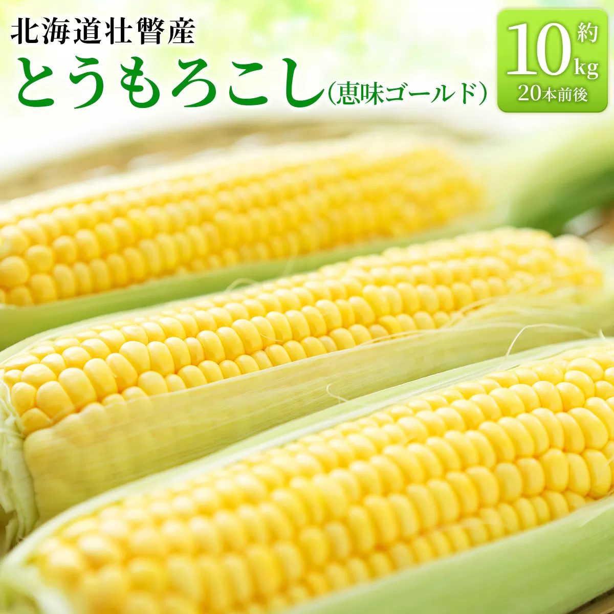 ＜2026年8月上旬より順次お届け＞北海道壮瞥産 とうもろこし（恵味ゴールド）約10kg SBTA032