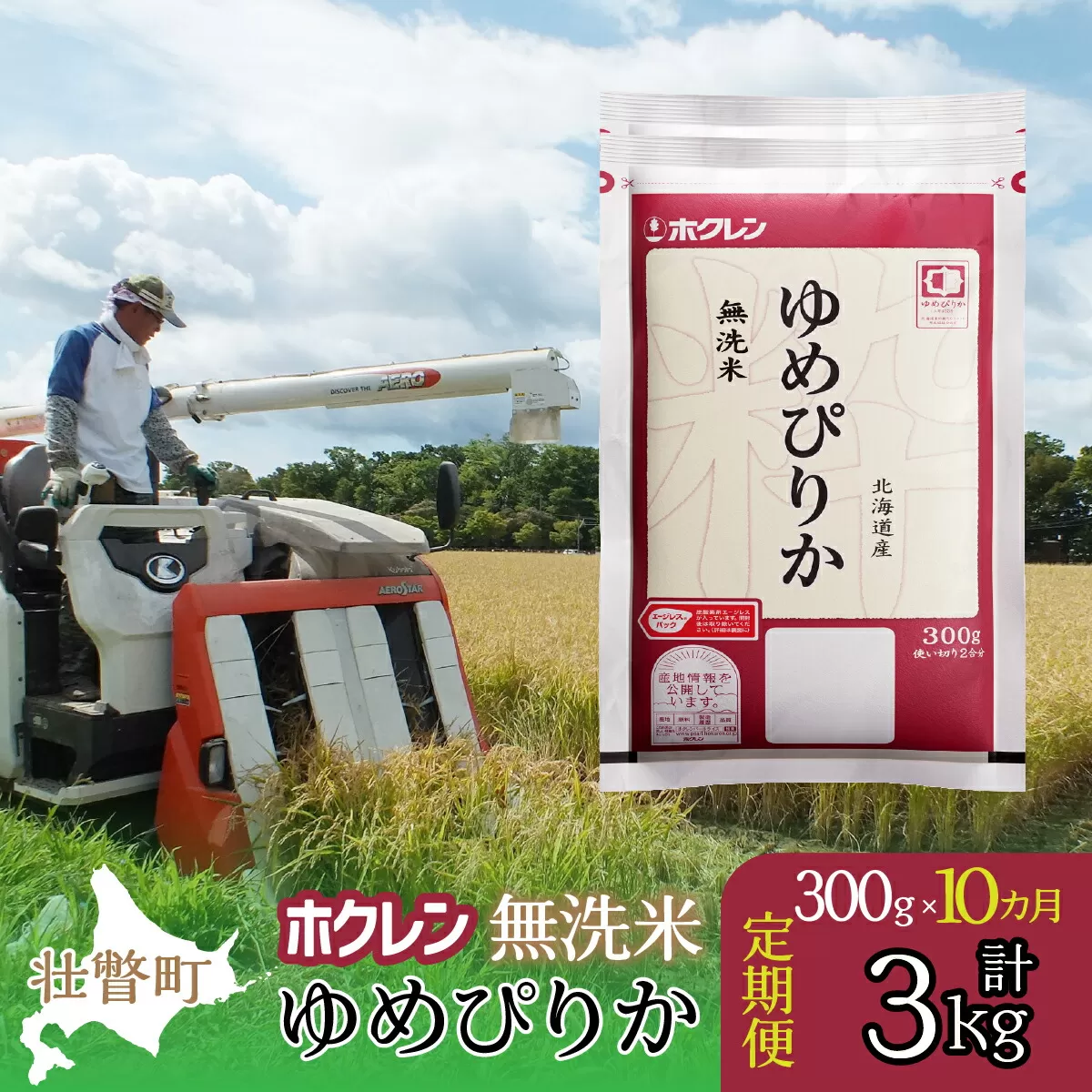 【令和6年産米】【10ヶ月定期配送】（無洗米300g）ホクレンゆめぴりか SBTD151