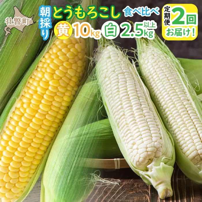 北海道壮瞥町 2回 定期便 8月上旬・8月下旬朝採り！産地直送 北海道壮瞥町産 とうもろこし黄・白 食べ比べ SBTP011
