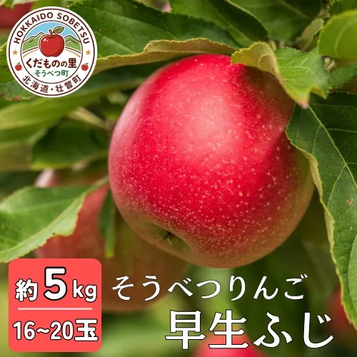 【先行予約】 早生ふじ 約5kg <2026年10月中旬頃～発送予定> SBTB012