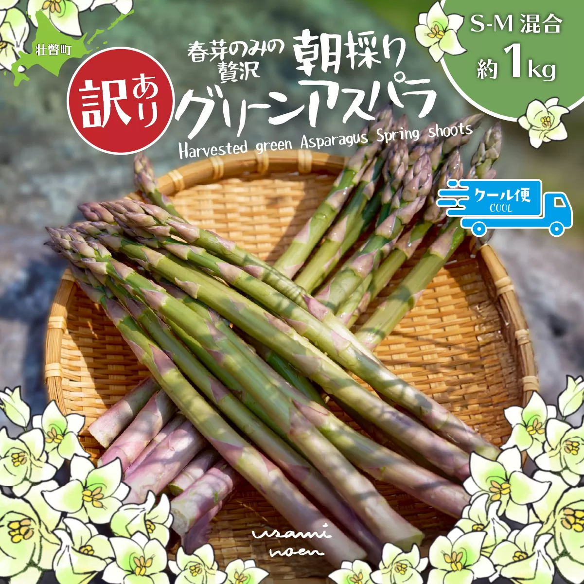 【2026年予約】【訳あり】朝採りグリーンアスパラ（春芽）S-M混合 約1kg 北海道壮瞥町産 SBTAJ038