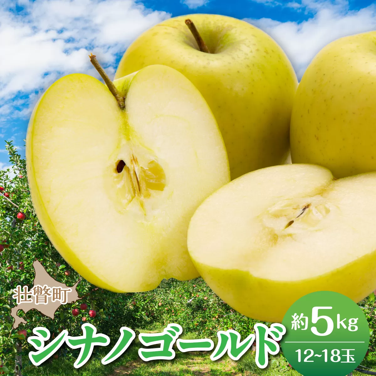 【先行予約】＜2026年11月上旬よりお届け＞北海道壮瞥町　りんご　品種名「シナノゴールド」8～10玉約5kg SBTF021