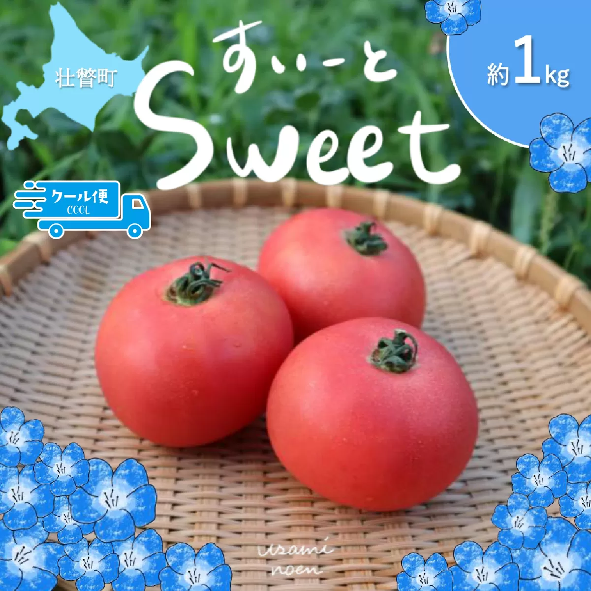 【2026年予約】極旨トマトクール便 北海道壮瞥町産 スイート1kg 中玉トマト SBTAJ016