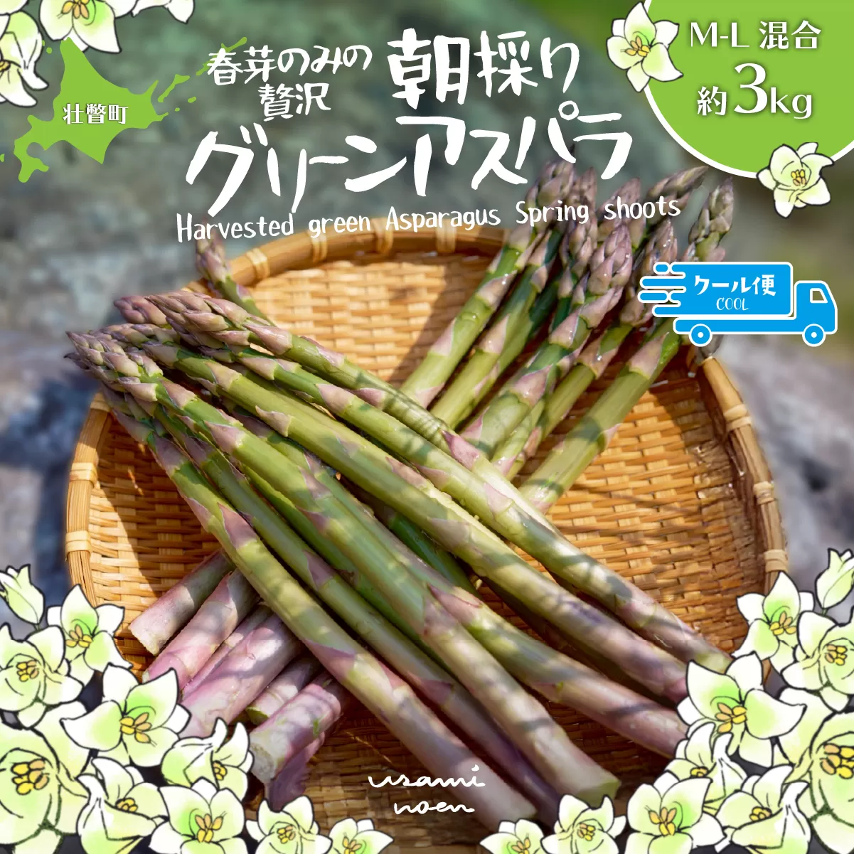 【2026年予約】朝採りグリーンアスパラ（春芽）M-L混合 約3kg 北海道壮瞥町産 SBTAJ035