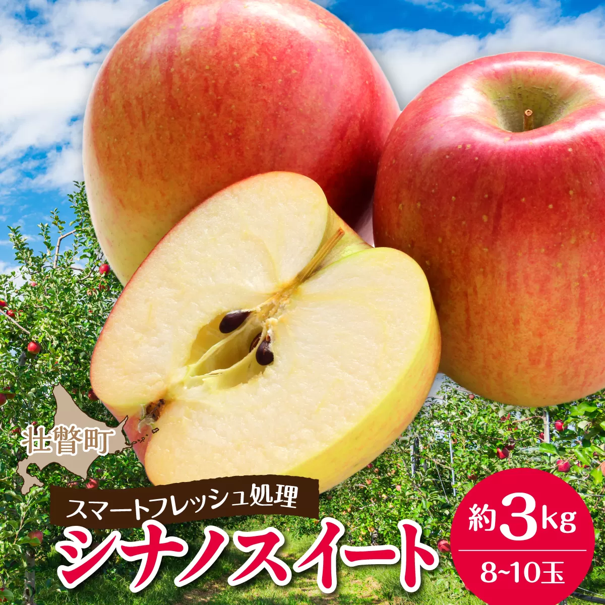 北海道壮瞥町　りんご(スマートフレッシュ)　品種名「シナノスイート」8～10玉約3kg　SBTF026