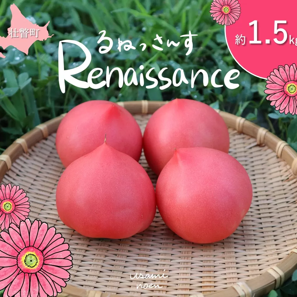 北海道壮瞥町産 ルネッサンス1.5kg トマト SBTAJ007