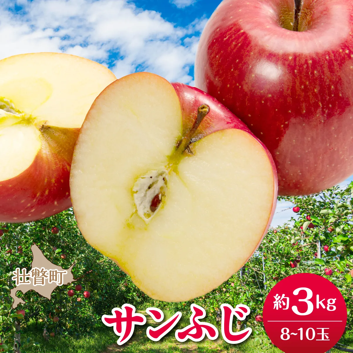 【先行予約】北海道壮瞥町産りんご「サンふじ」約3kg(8〜10玉)<2026年12月上旬にお届け> SBTF006