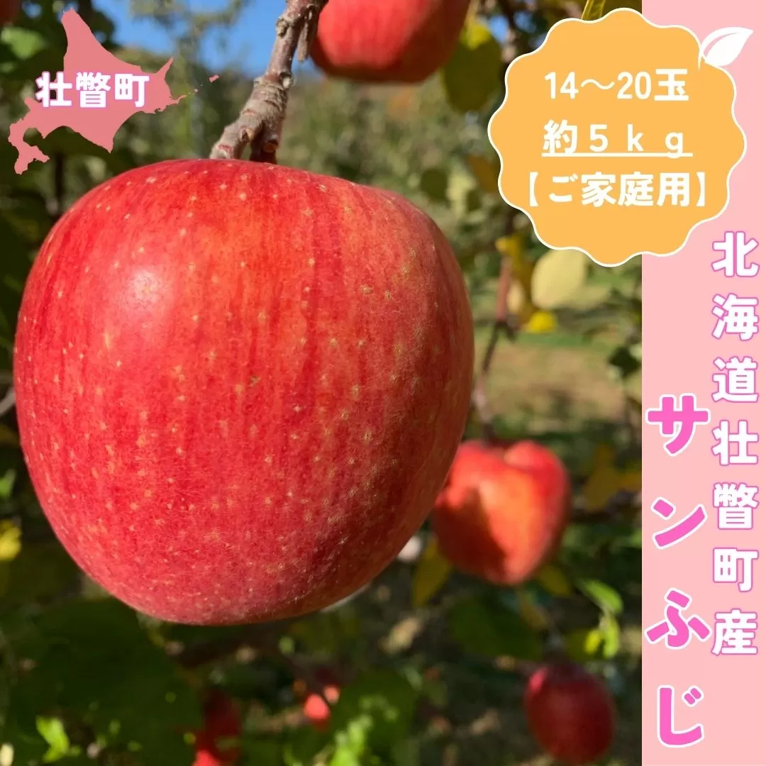 ＜11月下旬頃よりお届け＞北海道壮瞥産りんご サンふじ 約5kg(14〜20玉)【ご家庭用】 SBTK015