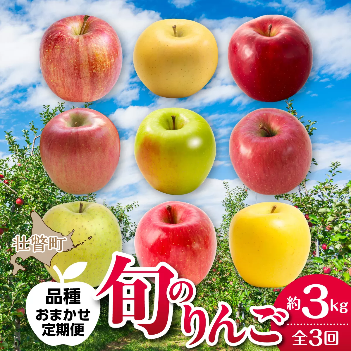 【先行予約】＜10･11･12月お届け＞北海道壮瞥町　旬のりんご約3kg　おまかせ定期便 SBTF031