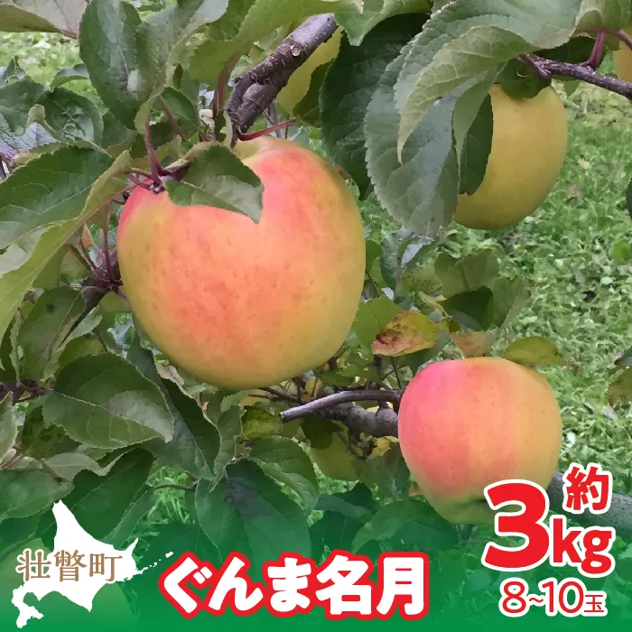 ＜2025年11月中旬よりお届け＞ 北海道壮瞥町 りんご 「ぐんま名月」8〜10玉約3kg SBTF004