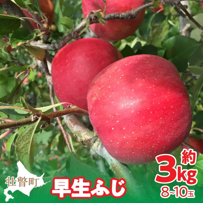 ＜2025年10月中旬よりお届け＞ 北海道壮瞥町 りんご 品種名「早生ふじ」8〜10玉約3kg SBTF002