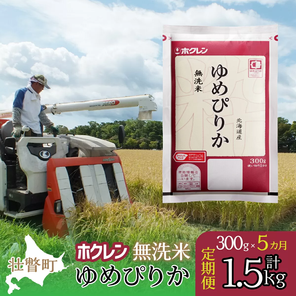【令和6年産米】【5ヶ月定期配送】（無洗米300g）ホクレンゆめぴりかSBTD150