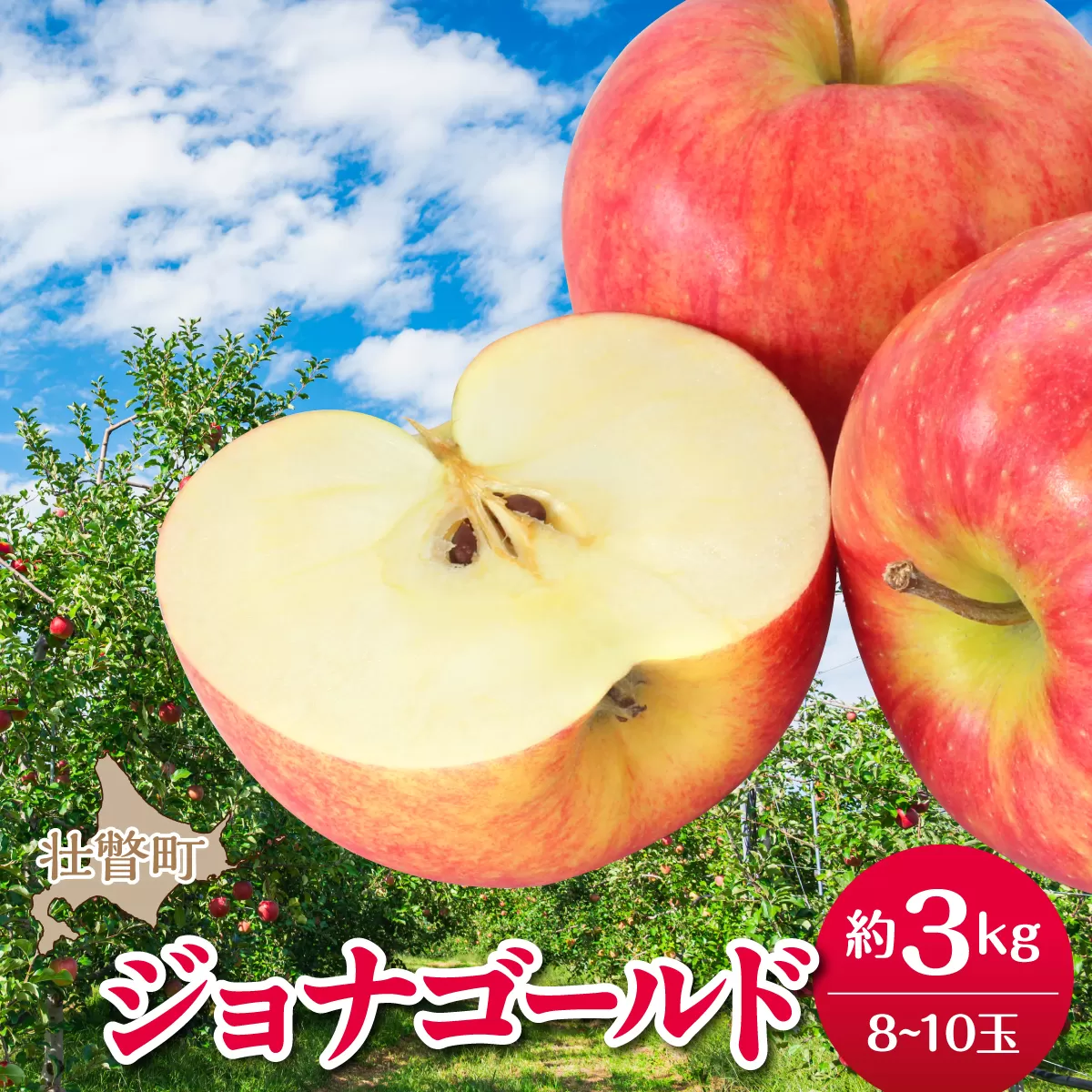 【先行予約】＜2026年10月下旬よりお届け＞北海道壮瞥町　りんご　品種名「ジョナゴールド」8～10玉約3kg SBTF018