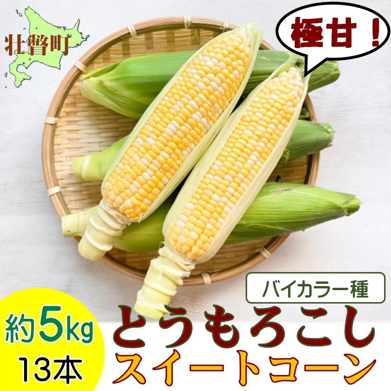 ＜2025年8月上旬よりお届け＞北海道壮瞥産 とうもろこし（スイートコーン）13本 約5kg SBTN001