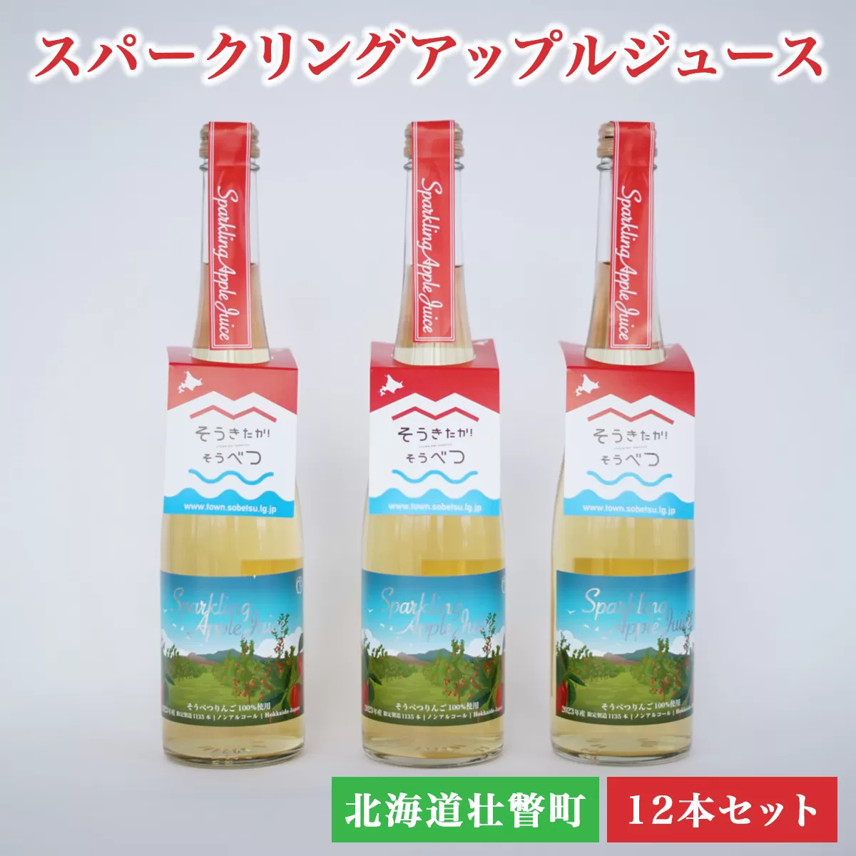 スパークリングアップルジュース12本セット SBTA020