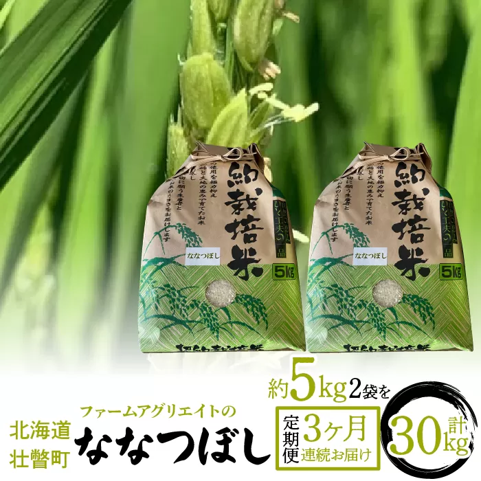 令和6年産米 ファームアグリエイトのななつぼし　約5kg×2袋を3ヶ月連続お届け SBTB006