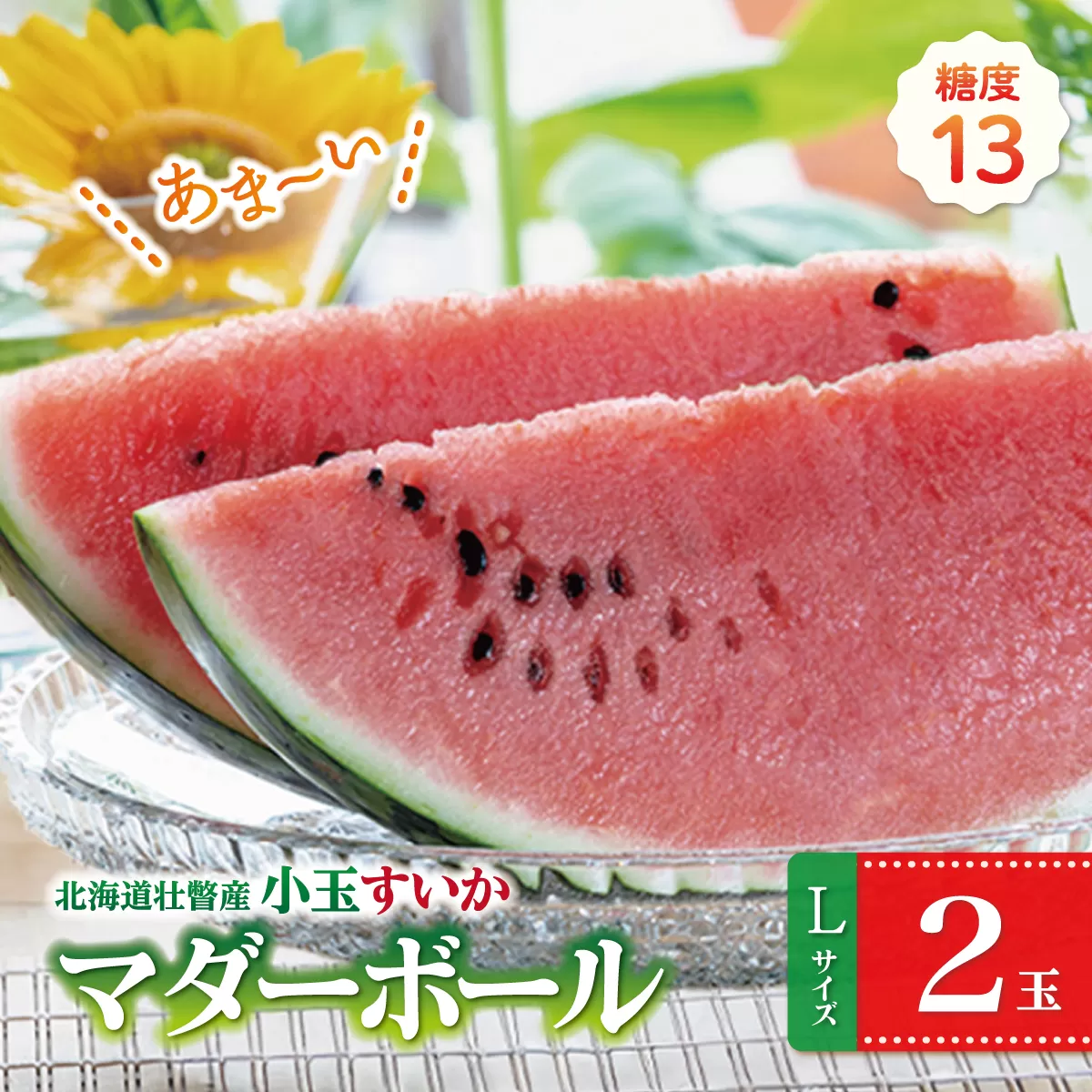 ＜2026年8月上旬よりお届け＞北海道壮瞥産　新山すいか 小玉すいか（マダーボール）Lサイズ2玉 スイカ　 SBTN002