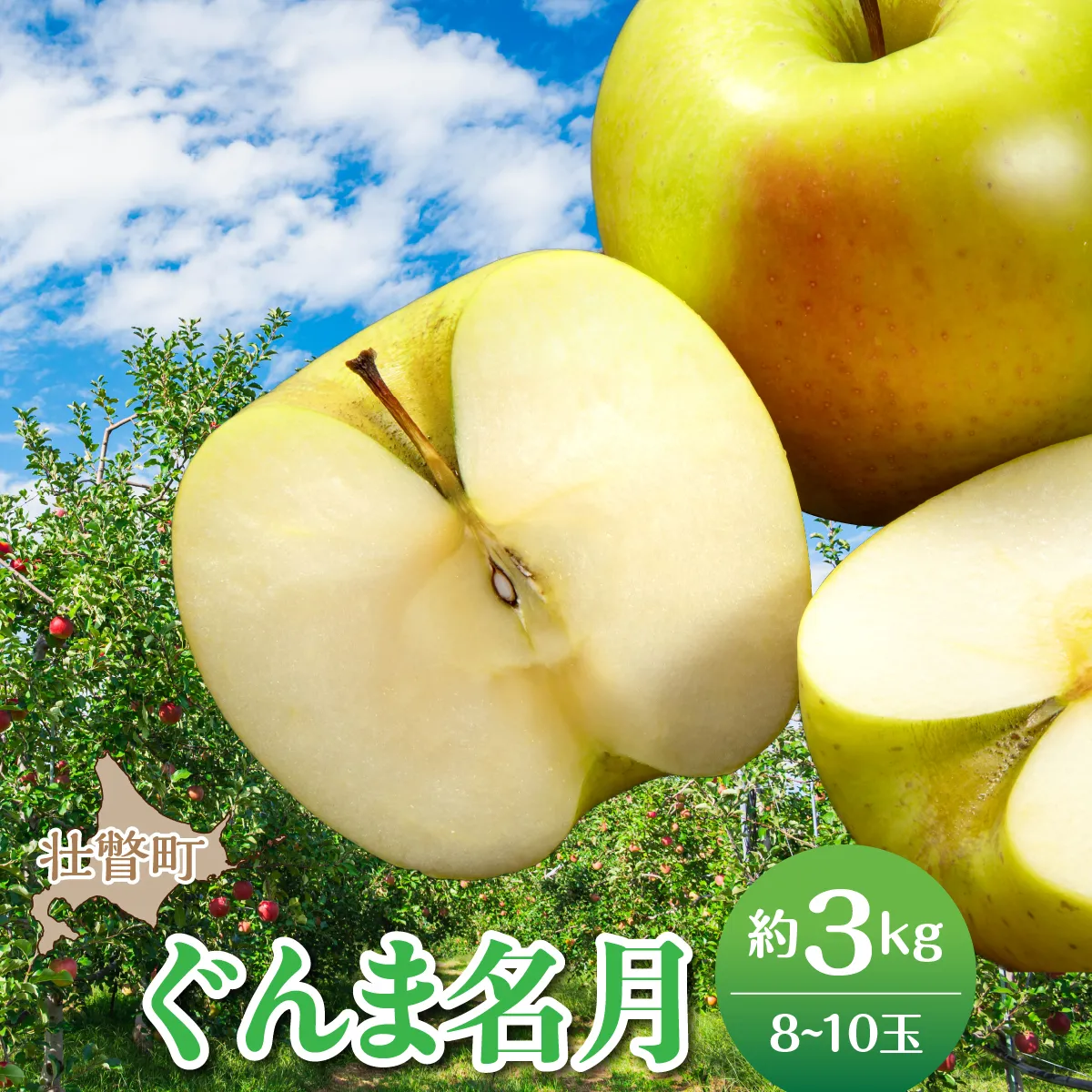 【先行予約】北海道壮瞥町産りんご「ぐんま名月」約3kg(8〜10玉)<2026年11月中旬よりお届け> SBTF004