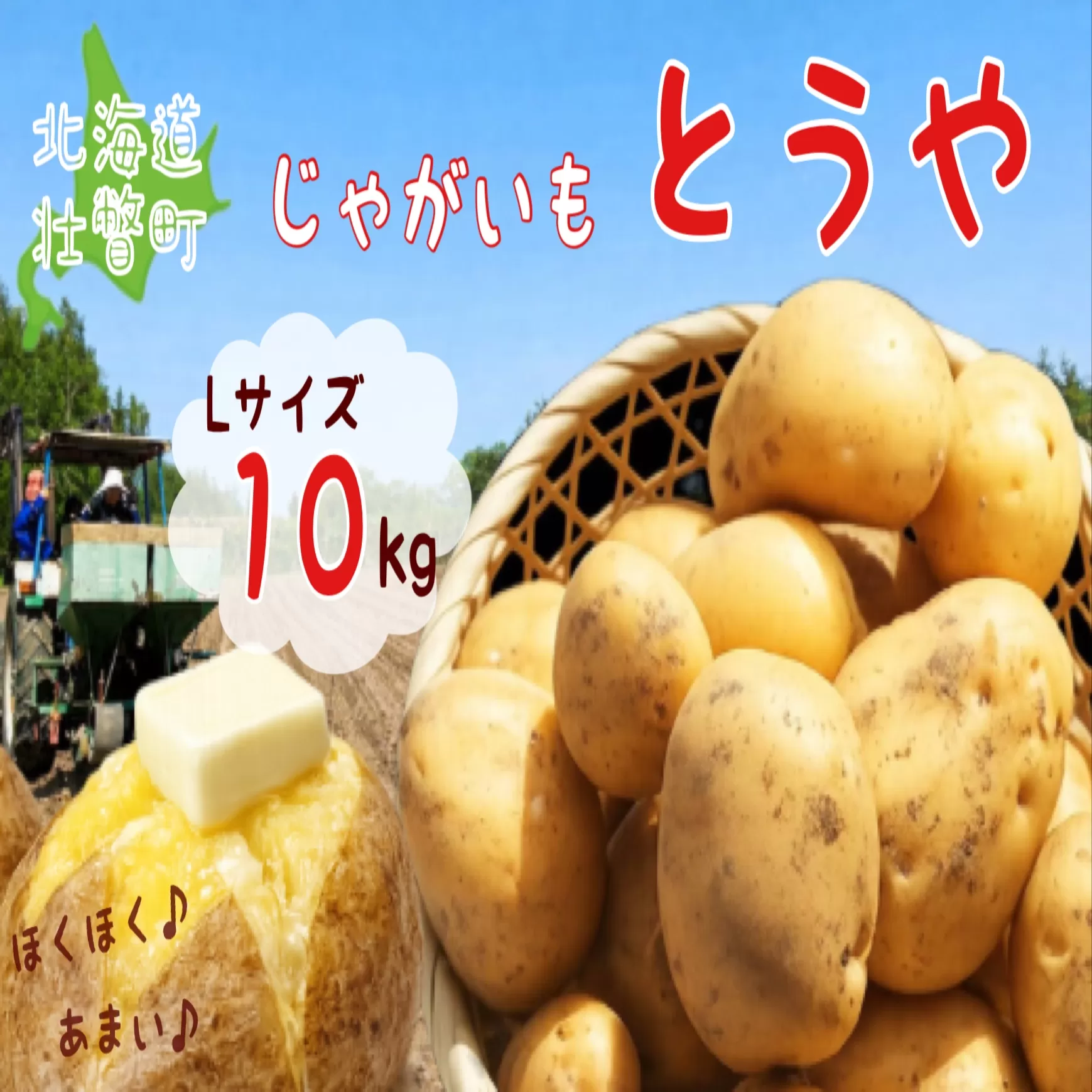 ＜2026年9月下旬よりお届け＞北海道壮瞥町産じゃがいも（とうや）Lサイズ10kg SBTN005