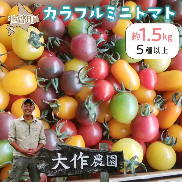 ＜2025年7月上旬よりお届け＞北海道壮瞥産 大作農園のカラフルミニトマト約1.5kg(5種以上) SBTR002