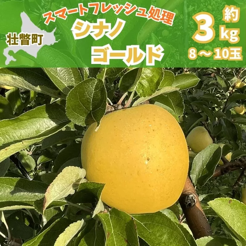 北海道壮瞥町　りんご(スマートフレッシュ)　品種名「シナノゴールド」8～10玉約3kg　SBTF028