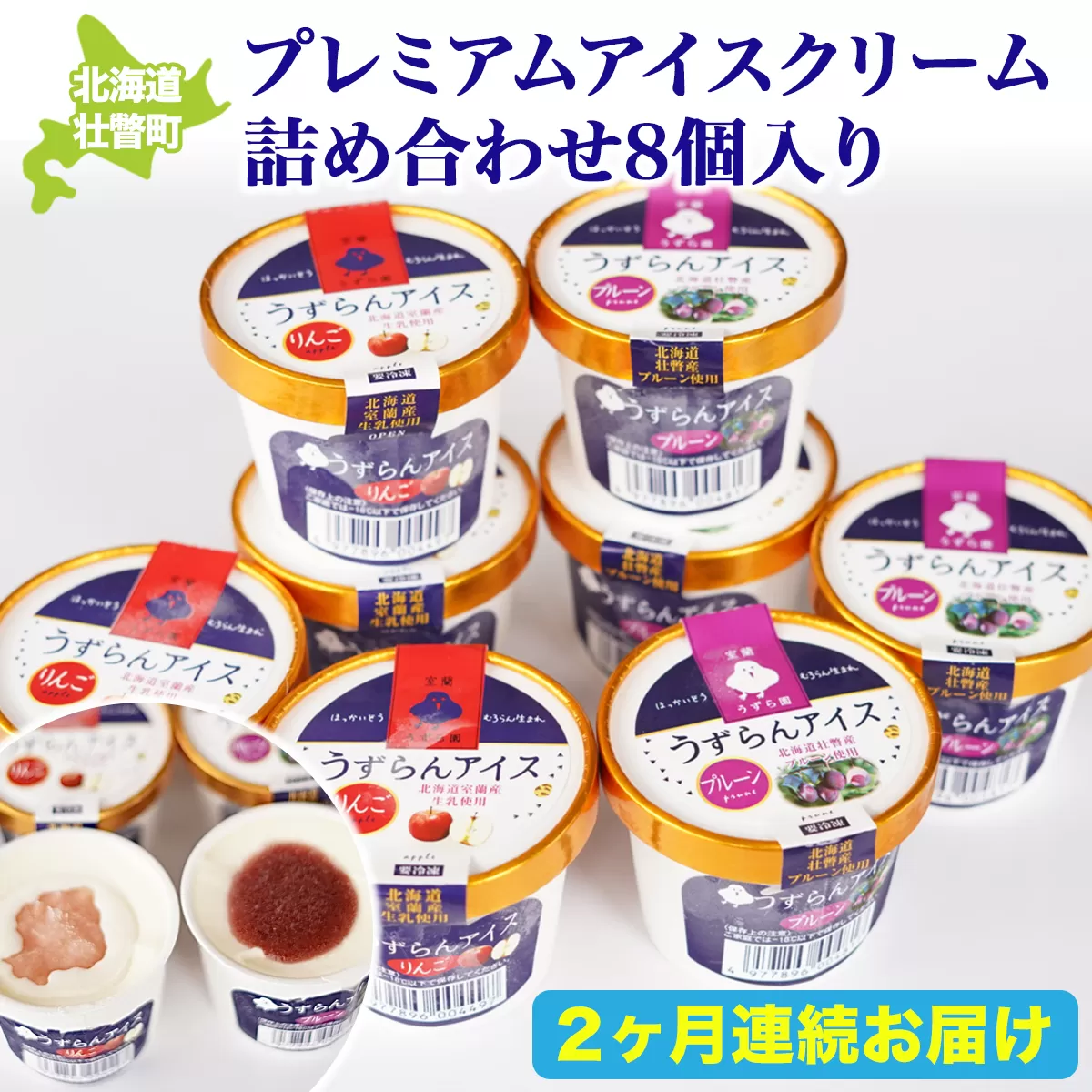 プレミアムアイスクリーム詰め合わせ8個入り 2ヶ月連続お届け SBTA025